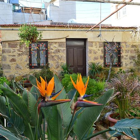 Mystery Garden Guest House Αμμόχωστος Εξωτερικό φωτογραφία