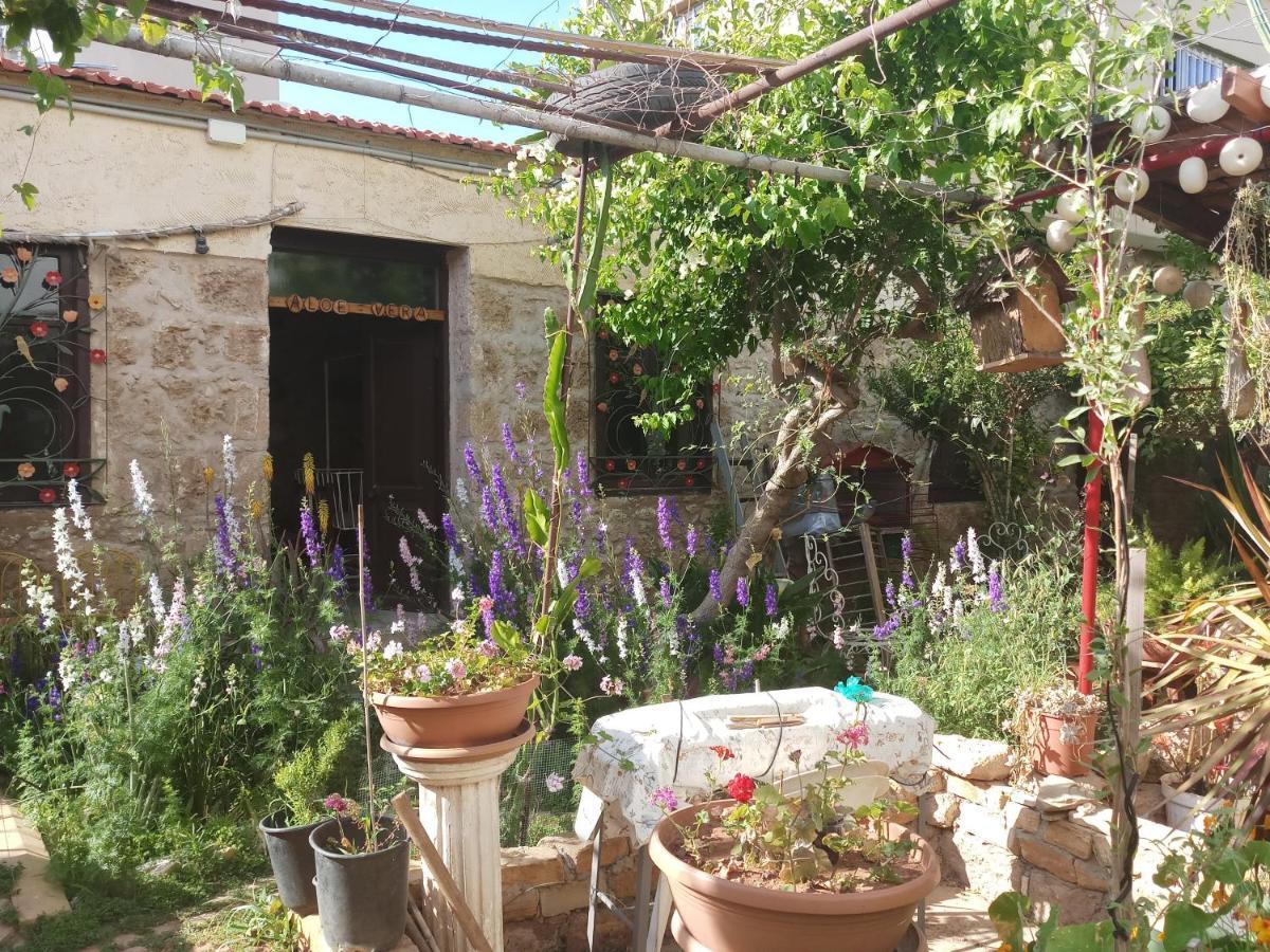Mystery Garden Guest House Αμμόχωστος Εξωτερικό φωτογραφία