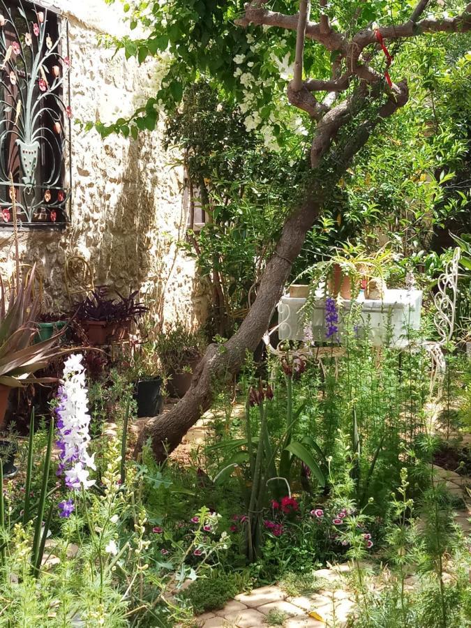 Mystery Garden Guest House Αμμόχωστος Εξωτερικό φωτογραφία