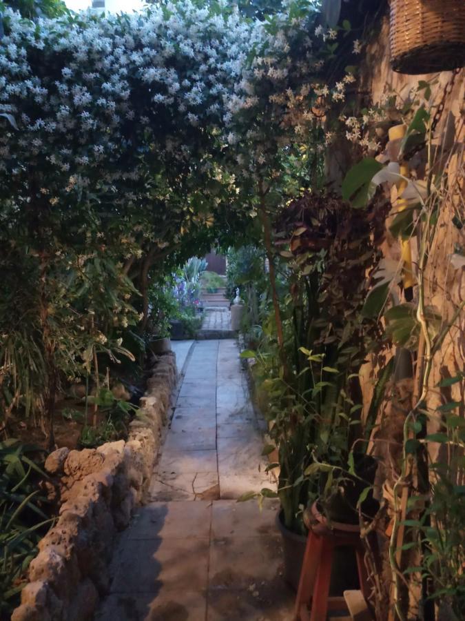 Mystery Garden Guest House Αμμόχωστος Εξωτερικό φωτογραφία