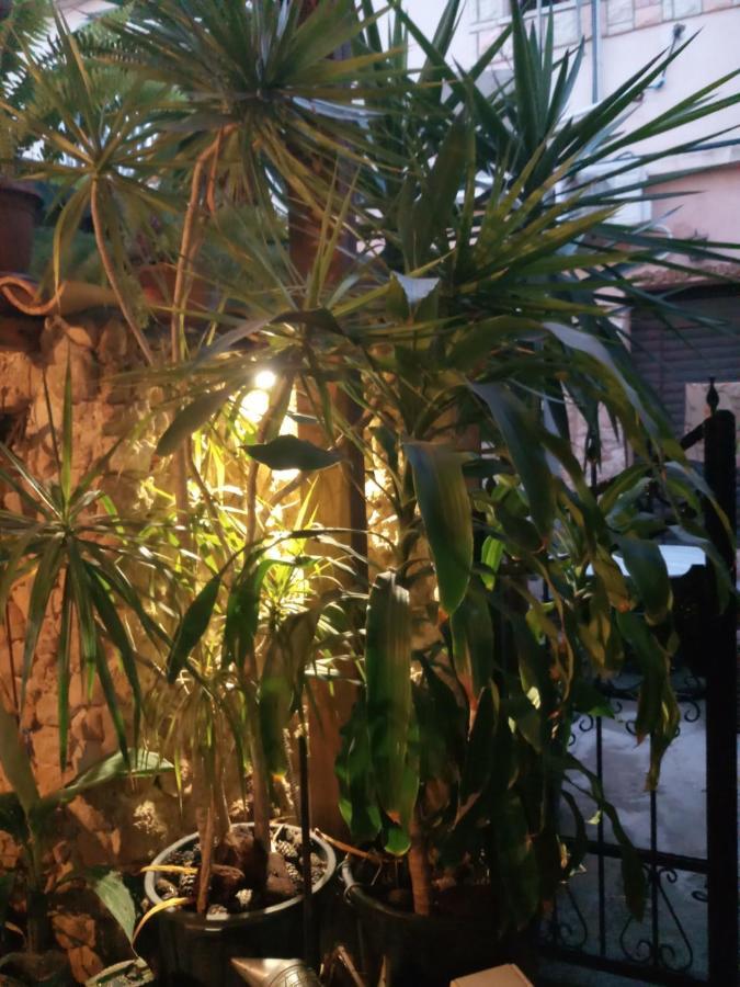Mystery Garden Guest House Αμμόχωστος Εξωτερικό φωτογραφία