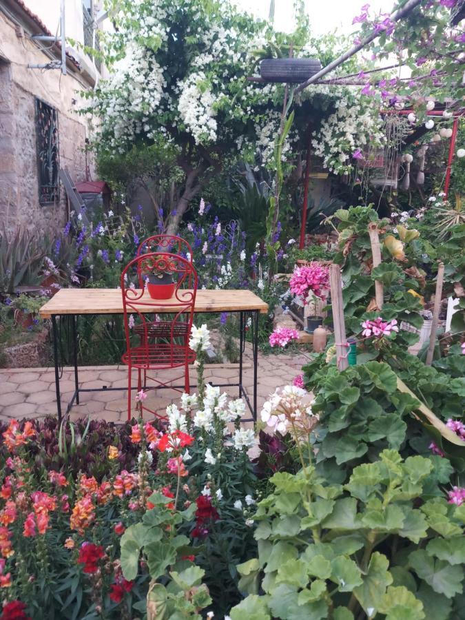 Mystery Garden Guest House Αμμόχωστος Εξωτερικό φωτογραφία