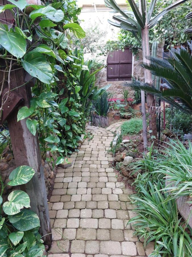 Mystery Garden Guest House Αμμόχωστος Εξωτερικό φωτογραφία