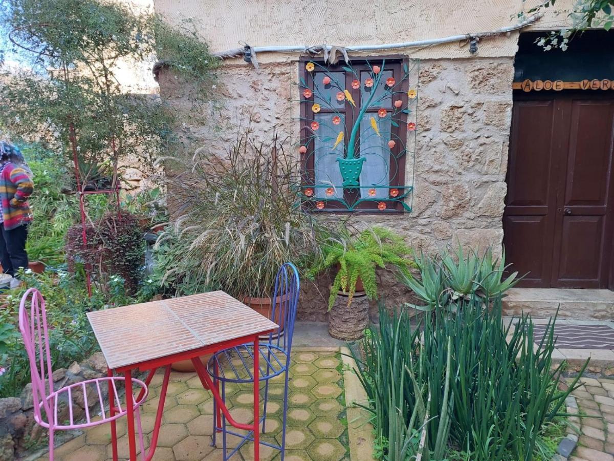 Mystery Garden Guest House Αμμόχωστος Εξωτερικό φωτογραφία