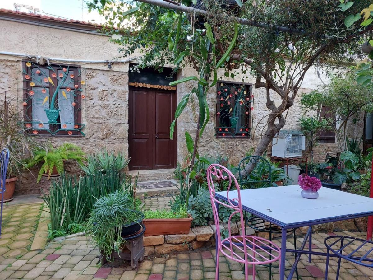Mystery Garden Guest House Αμμόχωστος Εξωτερικό φωτογραφία