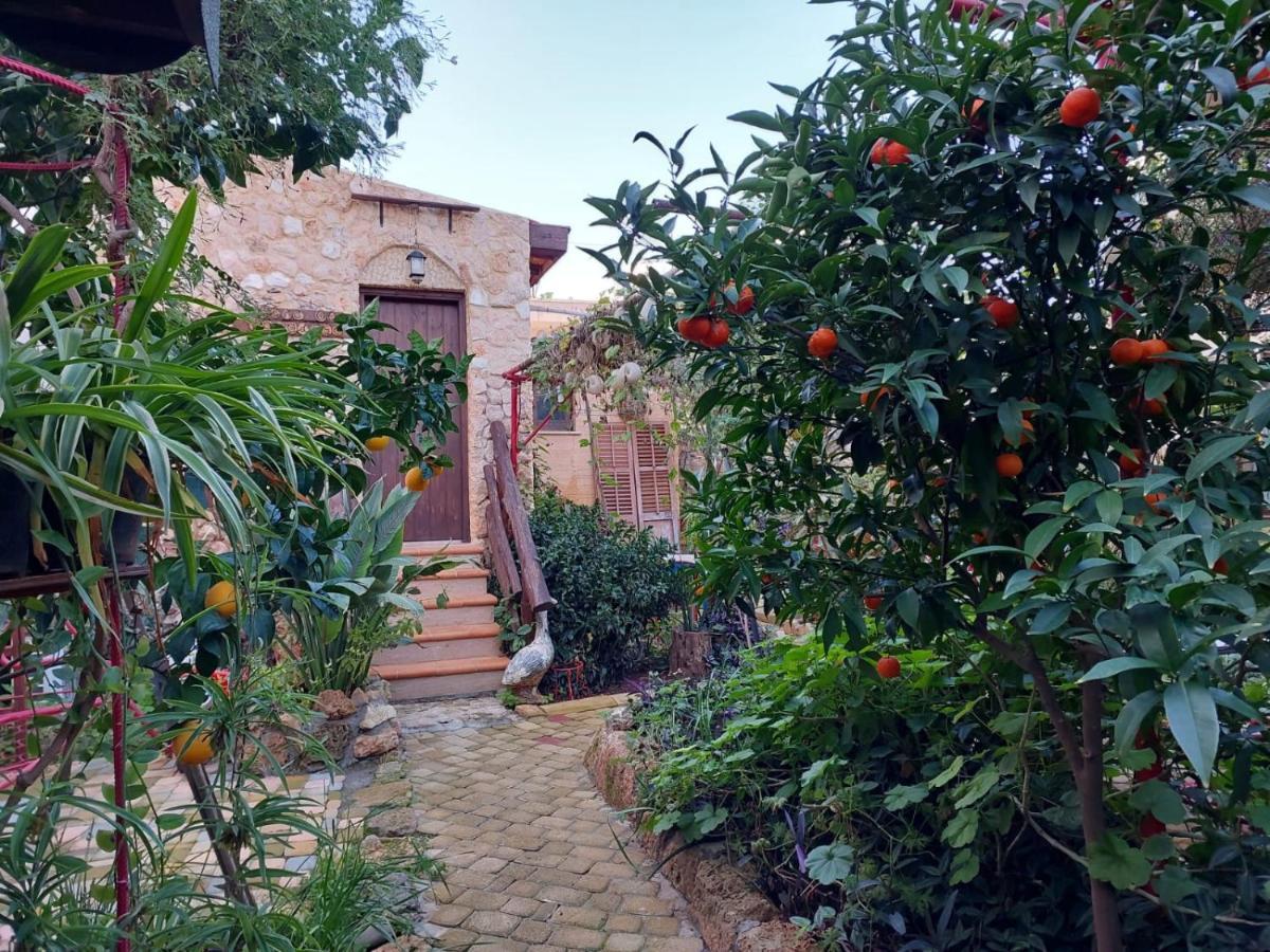 Mystery Garden Guest House Αμμόχωστος Εξωτερικό φωτογραφία