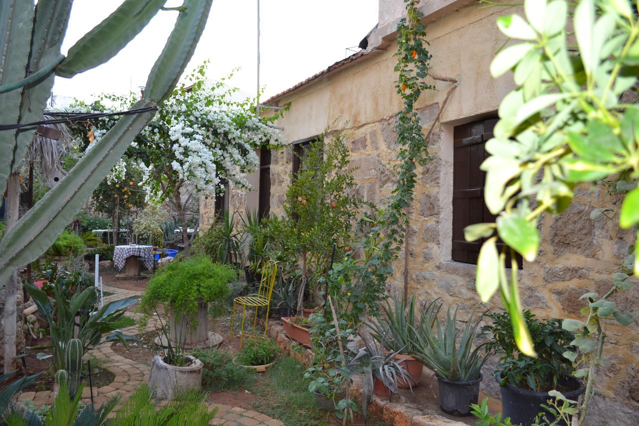 Mystery Garden Guest House Αμμόχωστος Εξωτερικό φωτογραφία