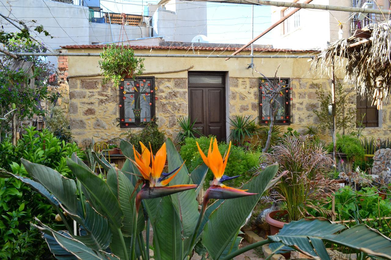 Mystery Garden Guest House Αμμόχωστος Εξωτερικό φωτογραφία