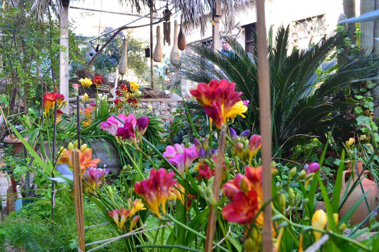 Mystery Garden Guest House Αμμόχωστος Εξωτερικό φωτογραφία
