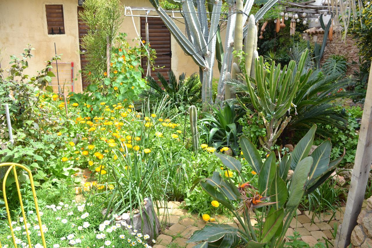 Mystery Garden Guest House Αμμόχωστος Εξωτερικό φωτογραφία