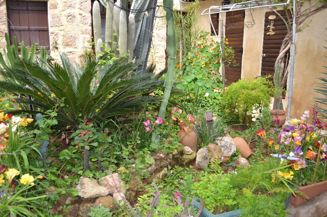 Mystery Garden Guest House Αμμόχωστος Εξωτερικό φωτογραφία