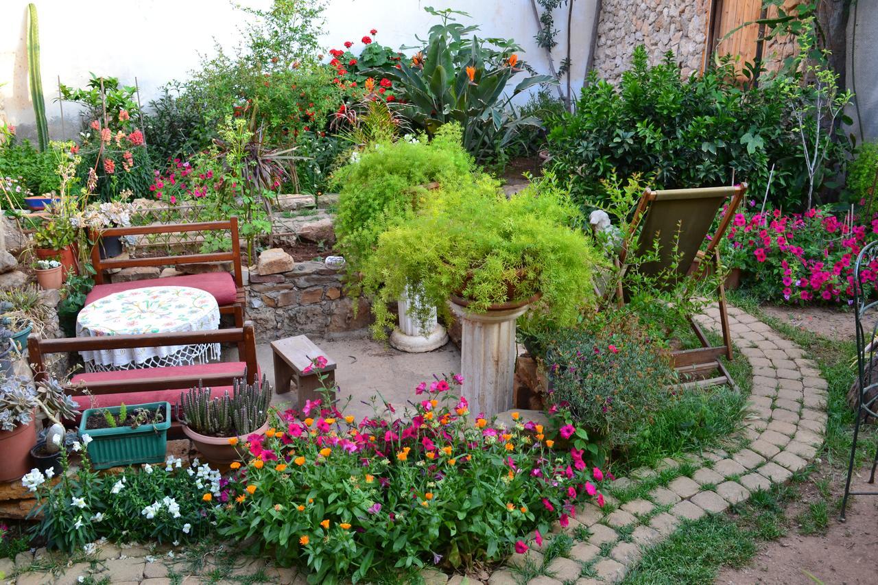 Mystery Garden Guest House Αμμόχωστος Εξωτερικό φωτογραφία