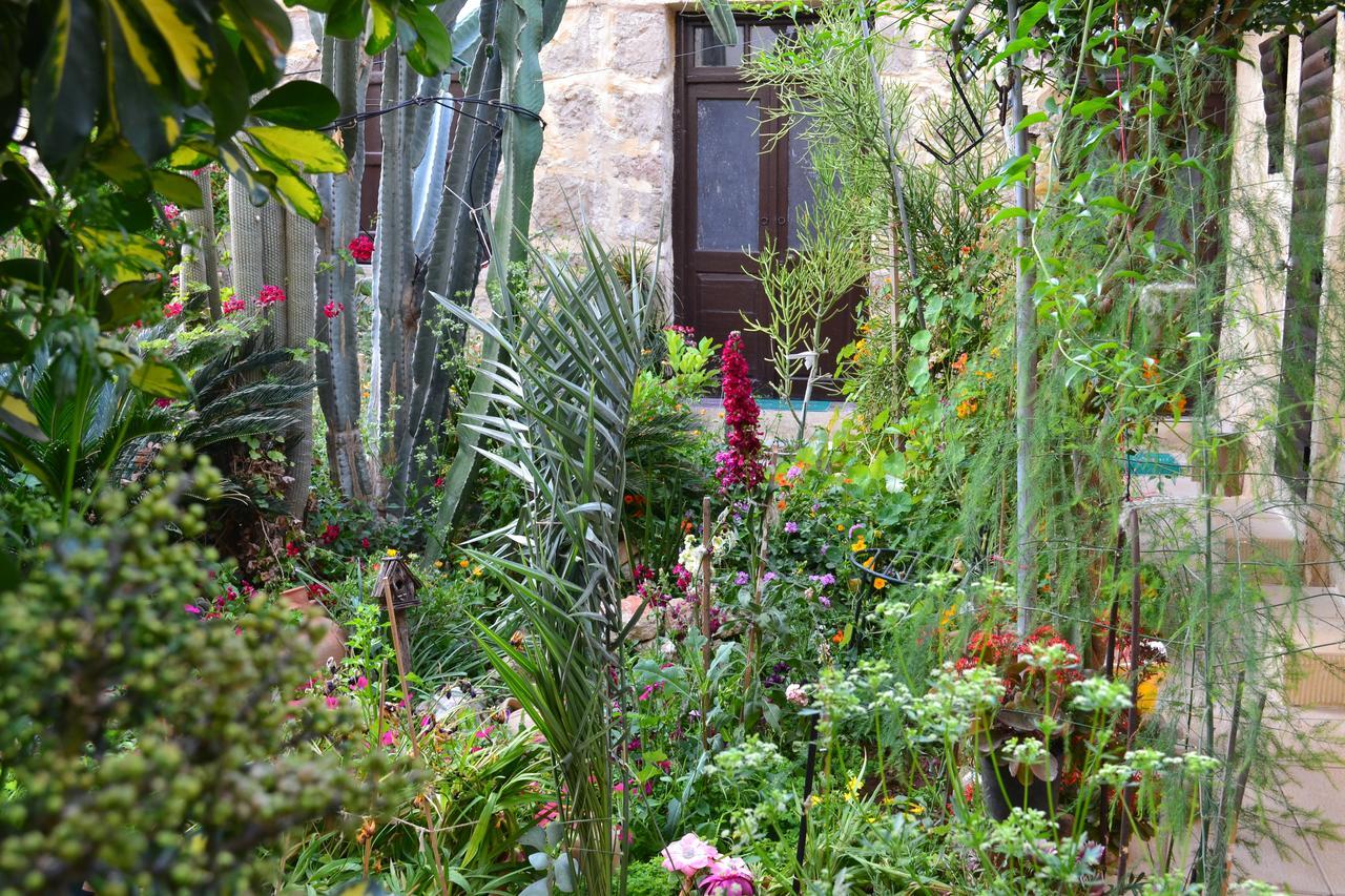 Mystery Garden Guest House Αμμόχωστος Εξωτερικό φωτογραφία