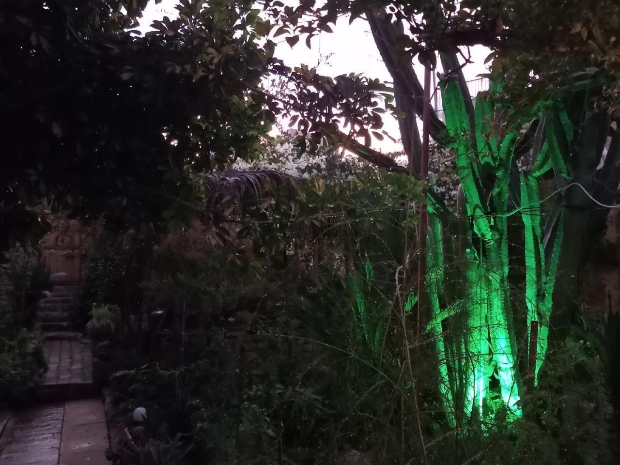 Mystery Garden Guest House Αμμόχωστος Εξωτερικό φωτογραφία
