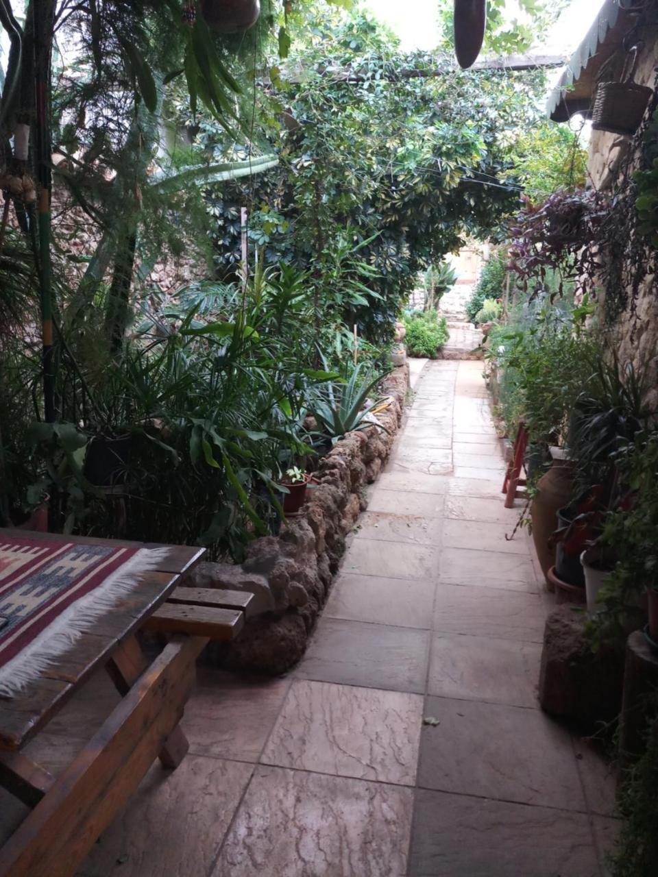 Mystery Garden Guest House Αμμόχωστος Εξωτερικό φωτογραφία