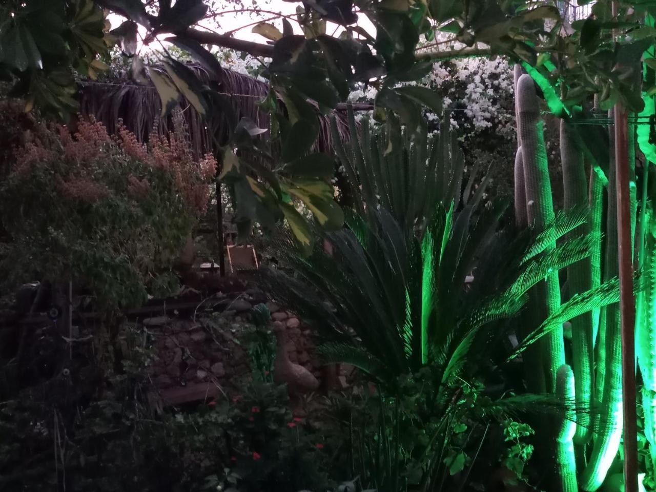 Mystery Garden Guest House Αμμόχωστος Εξωτερικό φωτογραφία