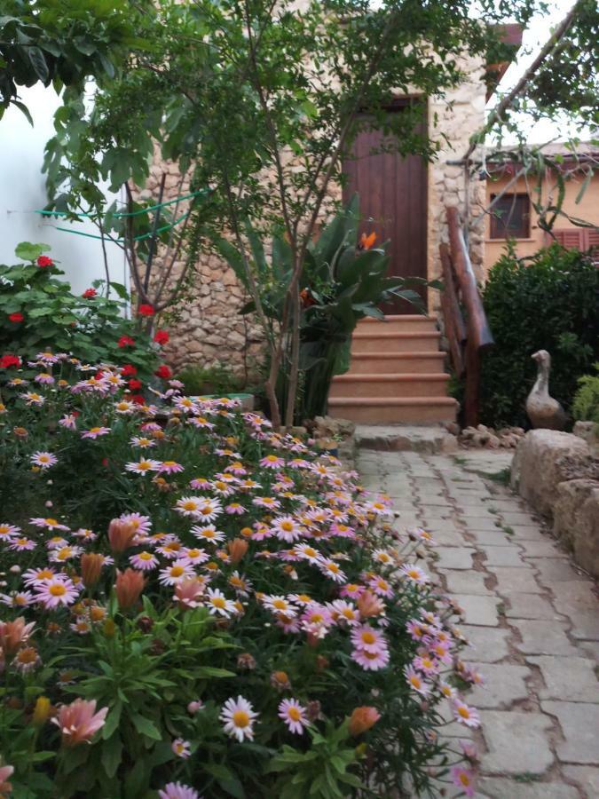 Mystery Garden Guest House Αμμόχωστος Εξωτερικό φωτογραφία