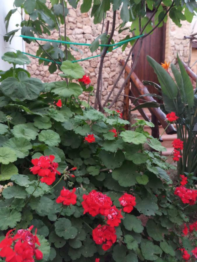 Mystery Garden Guest House Αμμόχωστος Εξωτερικό φωτογραφία